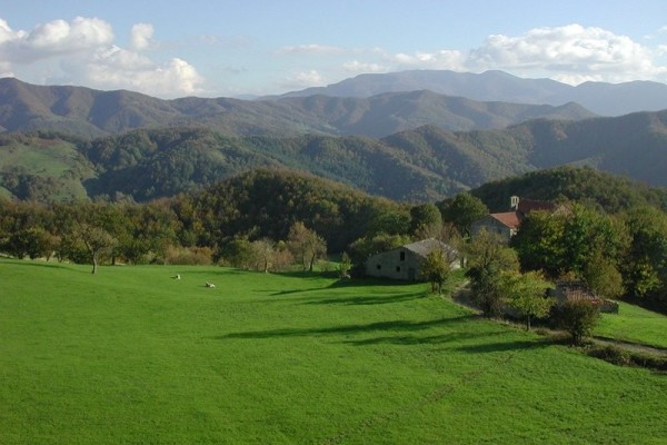 valle del Casentino podere verdi colline