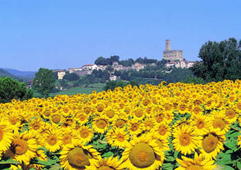 Poppi e il Castello dei Conti Guidi Poppi e il Castello dei Conti Guidi